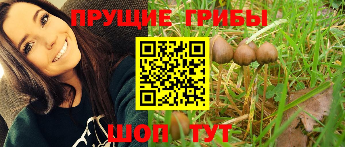 Псилоцибиновые грибы ЛСД  Вход с VPN  Барнаул 